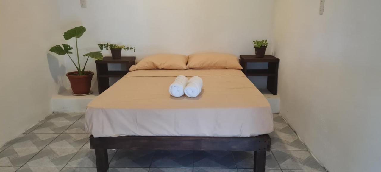Casa Choco Otel Mazunte Dış mekan fotoğraf