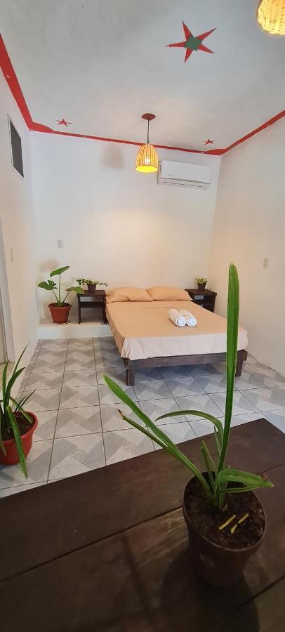 Casa Choco Otel Mazunte Dış mekan fotoğraf