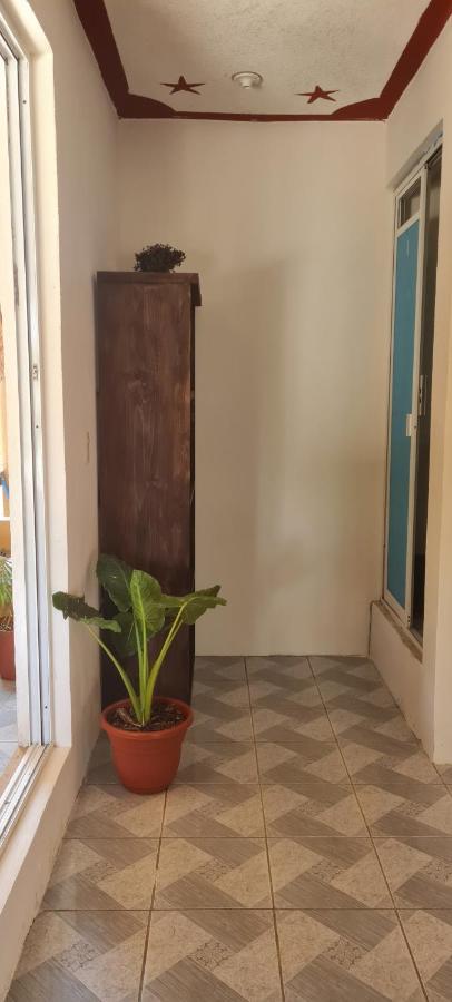 Casa Choco Otel Mazunte Dış mekan fotoğraf