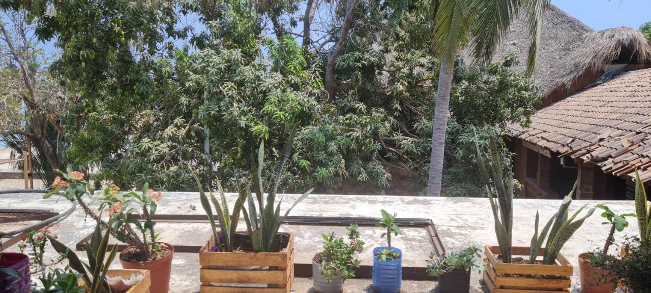 Casa Choco Otel Mazunte Dış mekan fotoğraf