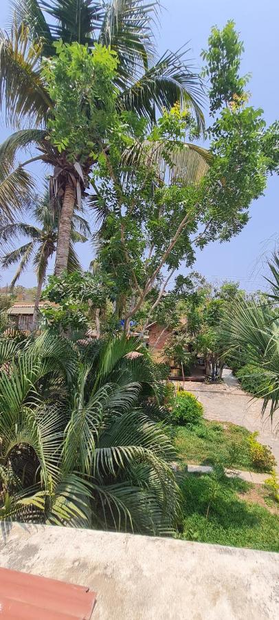 Casa Choco Otel Mazunte Dış mekan fotoğraf